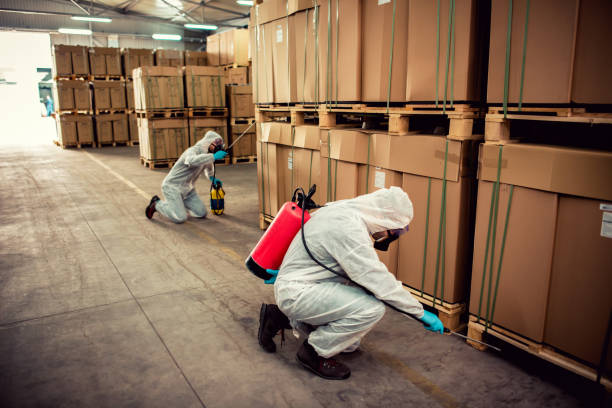 Best Termite Control Services  in Quarryville, PA