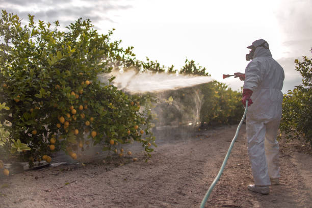 Best Exterminator Services  in Quarryville, PA
