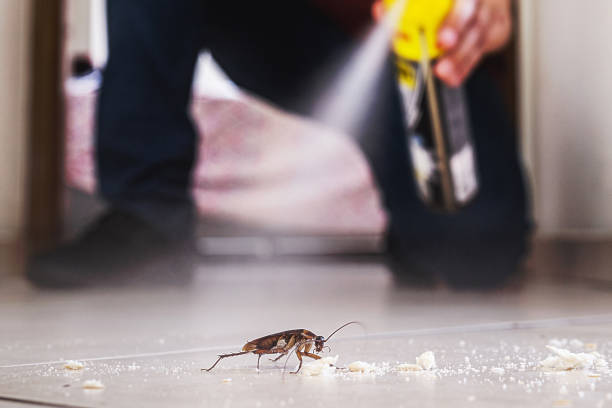 Best Flea Control Services  in Quarryville, PA